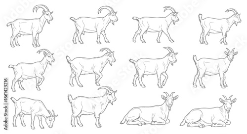 Elegant goat outline collection for unique farm animal designs and educational resources creation today