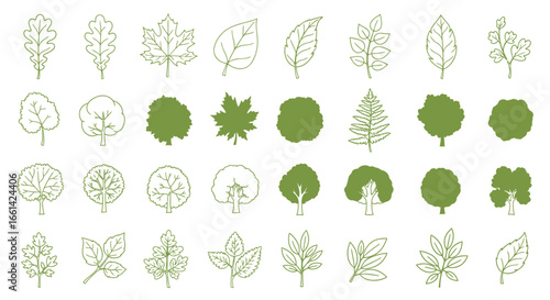 Elegant tree and leaf line art illustrations ready for your next nature-inspired creative project today