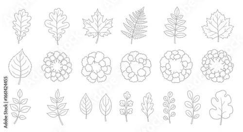 Elegant assortment of outlined leaf and tree illustrations for a natural, minimalistic design project