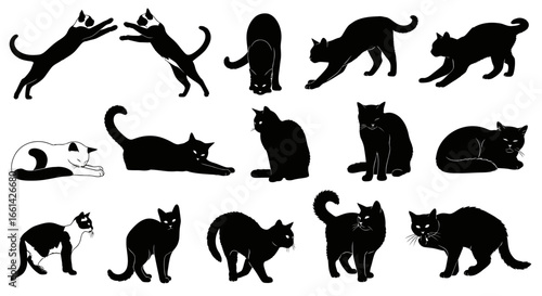 Dynamic cat poses captured in sleek black silhouettes, showcasing playful, resting, and stretching movements.