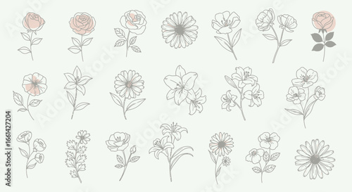 Elegant line art floral collection bringing natural beauty and delicate charm to any design project.
