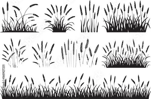 Grass SVG and vector silhouette design perfect for Cricut, Silhouette Cameo, and other cutting machines. Includes PNG, DXF, and EPS formats for versatile use.