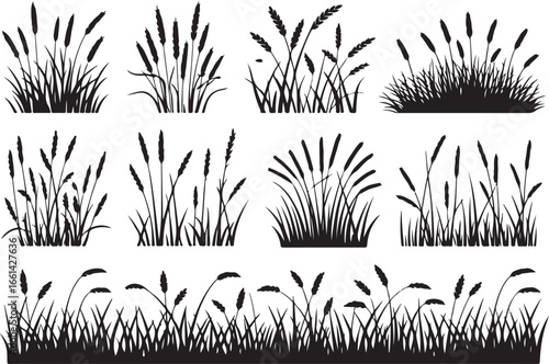Grass SVG and vector silhouette design perfect for Cricut, Silhouette Cameo, and other cutting machines. Includes PNG, DXF, and EPS formats for versatile use.