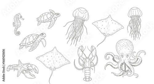 Charming collection of hand-drawn marine life including seahorses, turtles, jellyfish, rays, lobster, starfish, and octopus.