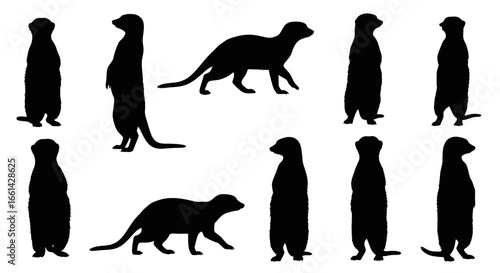 Captivating meerkat silhouettes showcase alert stances and dynamic movement for naturalistic designs