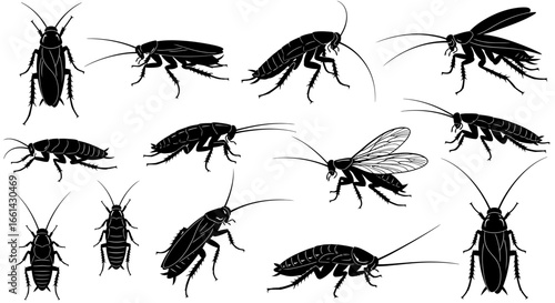 Collection of detailed black cockroach silhouettes in various poses for pest control or science illustration