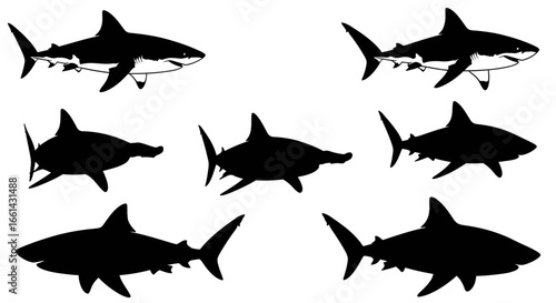 Illustrative depiction of various shark species, showcasing silhouettes and detailed renderings.