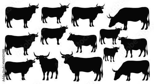 A collection of black silhouette illustrations of cows in various standing and grazing poses on a white background.