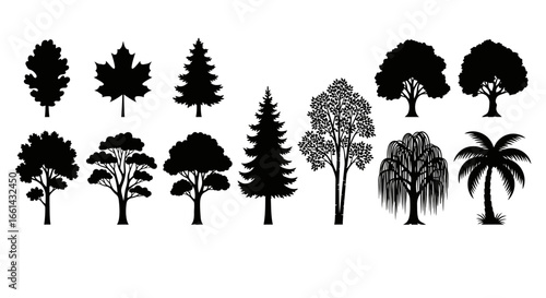 Diverse tree silhouettes from leafy deciduous to evergreen conifers and palm