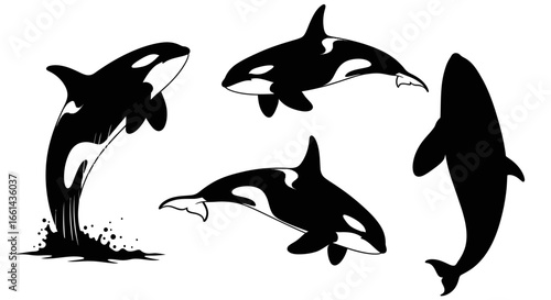 Four orca whale silhouettes in various poses, including jumping out of water, swimming, and diving, depicted in black and white.