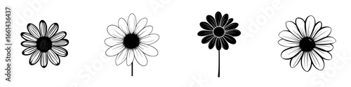Different styles of flower illustrations featuring daisies on a white background