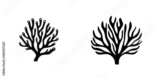 Intricate black coral illustrations on a white background showcasing unique sea life forms