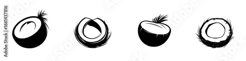 Unique black and white coconut illustrations showcasing different perspectives and stages of a coconut's appearance