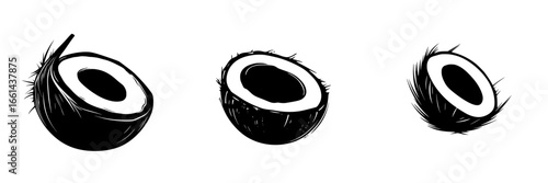 Visual representation of coconuts showcasing different stages of exposure, highlighting their texture and structure in a minimalist style