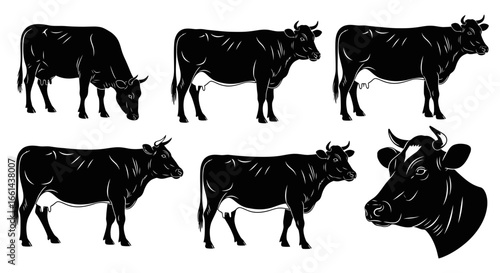 A collection of black cow illustrations depicting different poses and angles, isolated on white.