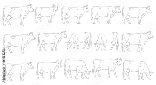 Outlined cows in various poses, perfect for farming, agriculture, and livestock concepts
