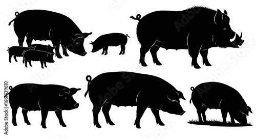 Diverse pig silhouettes showcase farm animals and wild boar for agricultural and wildlife themes
