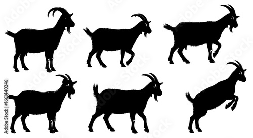 Six black goats in various poses, from standing still to jumping, isolated on white.