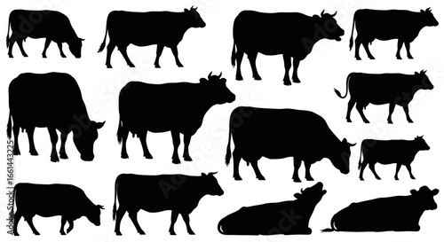 Diverse cow silhouettes showcasing various poses and breeds, perfect for agricultural projects