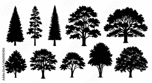 Diverse collection of black tree silhouettes for nature designs and landscaping projects