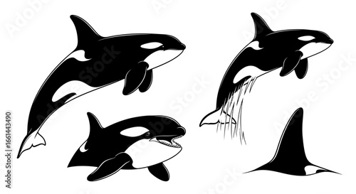 Dynamic killer whales leaping and swimming, powerful marine mammal art for ocean lovers