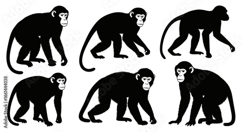 Six black silhouette illustrations of monkeys in various poses, showcasing different stances and body positions.