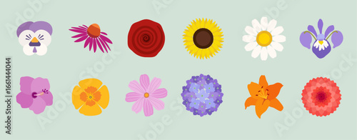 garden flowers iconset to make beautiful symbol collages and decorations in garden magazines or on garden websites or flyers.