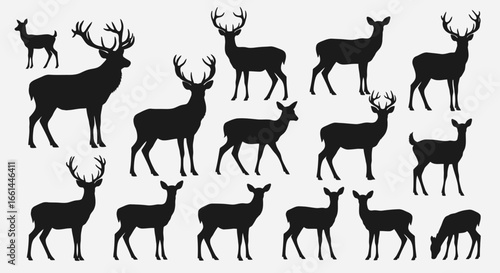 Silhouette collection of various deer, showcasing different sizes and postures.