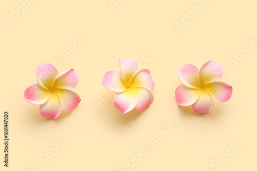 Beautiful pink plumeria flo...