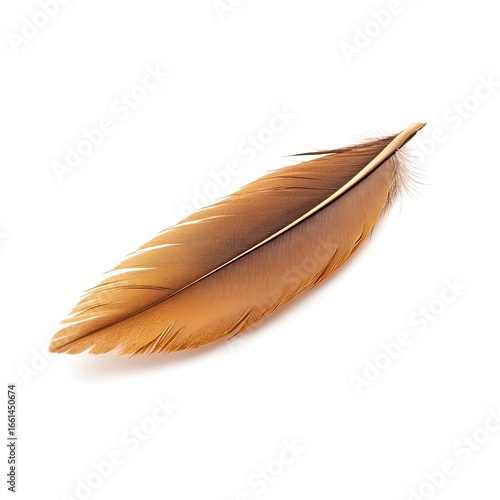 A single, light brown feather on white background