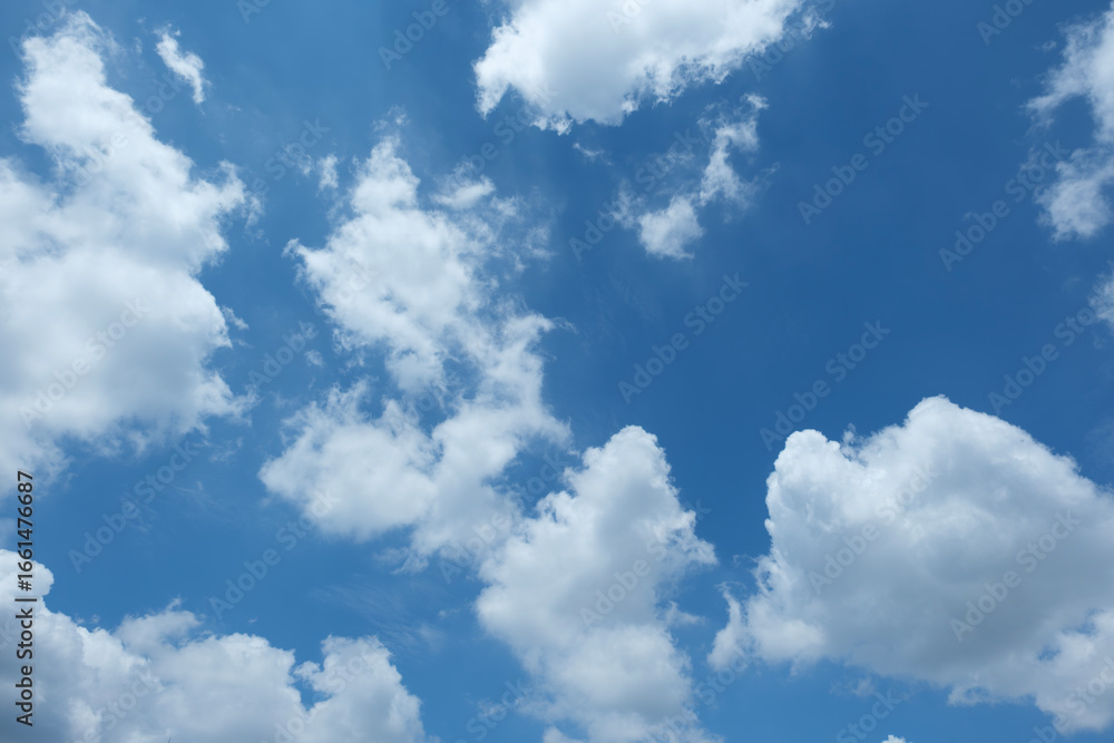 Fototapeta premium ふわふわした薄い雲と夏のようなさわやかな青空 風に流れる雲と美しい天気