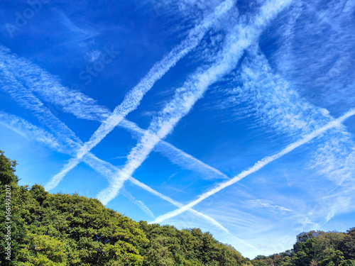 Multiple jet contrails trails against a blue sky above the trees. Airplane condensation or vapour trails