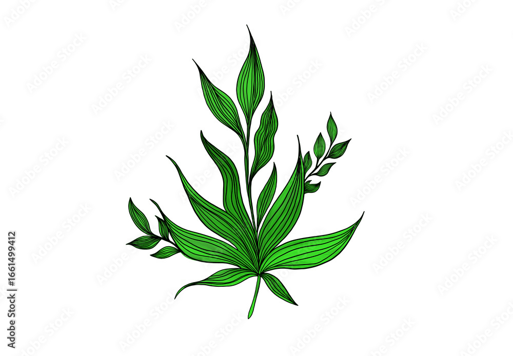 Obraz premium Vibrant Green Leaf Arrangement: Hand-Drawn Botanical Illustration of Lush Foliage with Detailed Veins, Perfect for Natural, Organic, and Fresh Designs