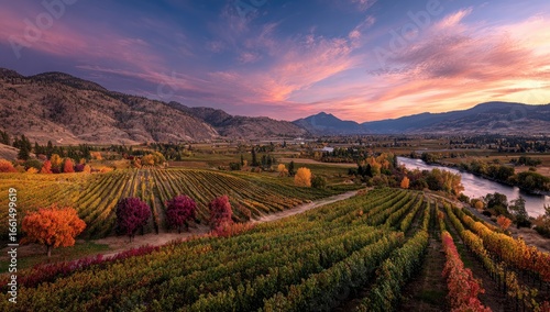 Autumn vineyard landscape at sunset