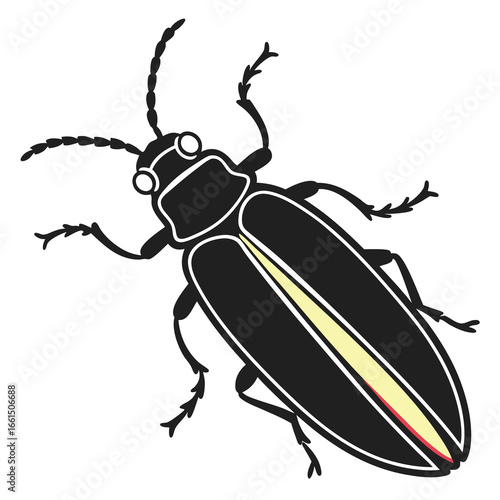 colorado potato beetle