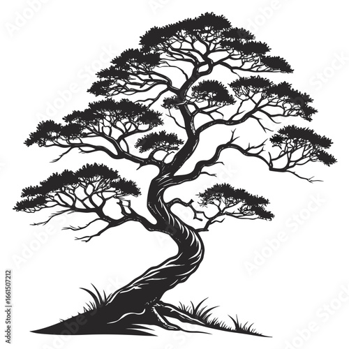 Twisted bonsai tree with thick trunk and few visible branches