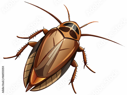 Detailed vector illustration of a brown cockroach with six legs and antennae on a white background