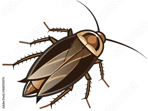 Detailed vector illustration of a brown cockroach with six legs and antennae on a white background