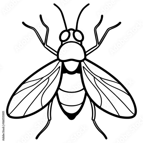 Fruit fly icon line airt vactor outline Illustrations on white background.