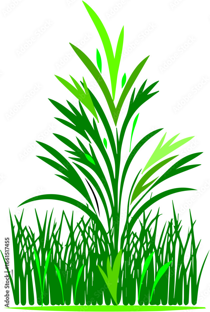 Fototapeta premium vector, Green grass plant with tall blades in bright shades of green