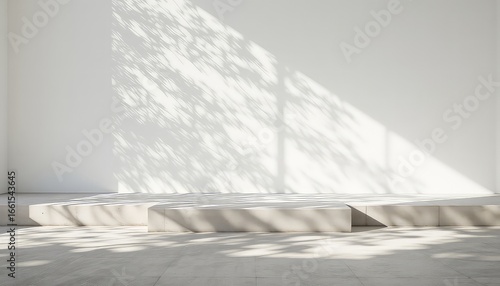 Minimalist concrete platform scene bathed in bright sunlight with leaf shadows creating dynamic patterns on walls