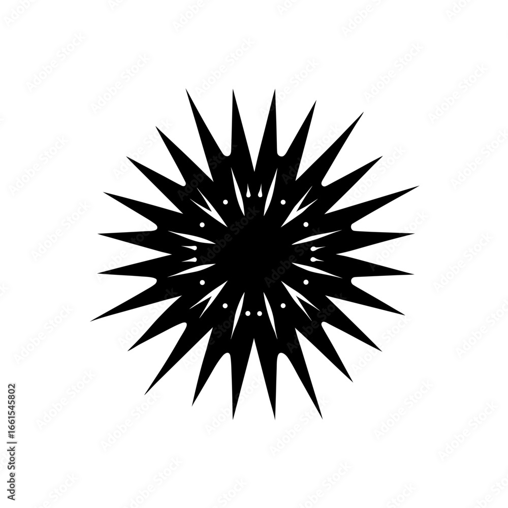 Fototapeta premium black silhouette of a firework exploding in a star