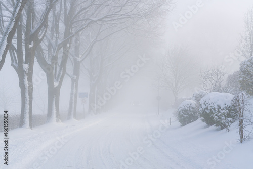 snowy road in the south of Limburg