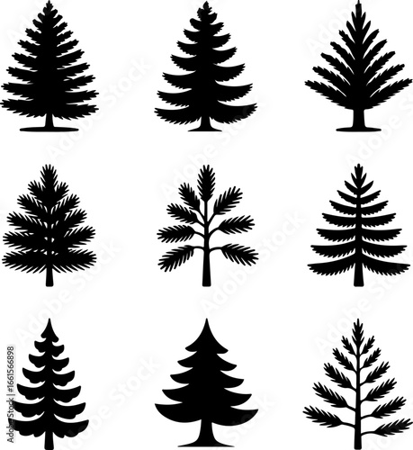 A grid of nine black silhouette illustrations of pine or fir trees