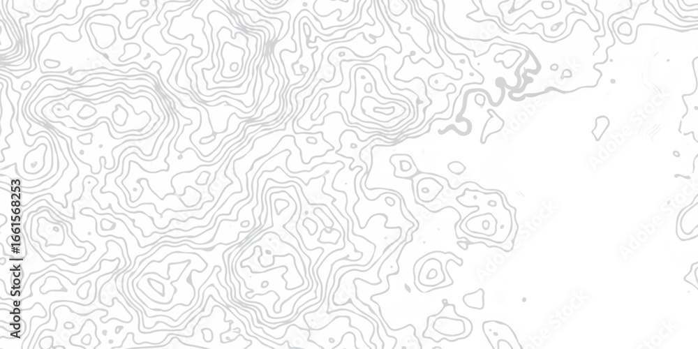 Obraz premium topography white background and black line wireframe isoline location diagram world map texture design. 