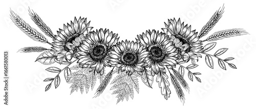 Sunflowers with spikelets and autumn branches. Vector illustration of fall Flowers and wheats for harvest festival greeting cards or floral wedding invitations. Linear drawing painted by black inks.