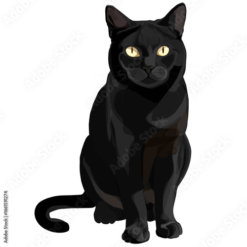 Black Cat Vector Illustration