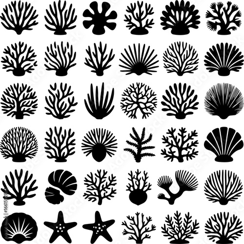 black silhouette illustrations featuring diverse types of coral, sea plants, shells, and marine life forms
