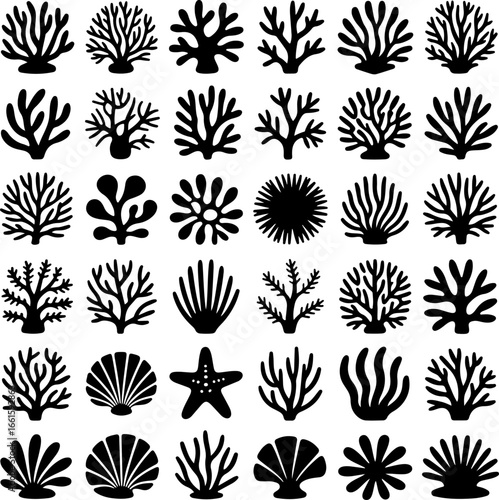 black silhouette illustrations featuring diverse types of coral, sea plants, shells, and marine life forms