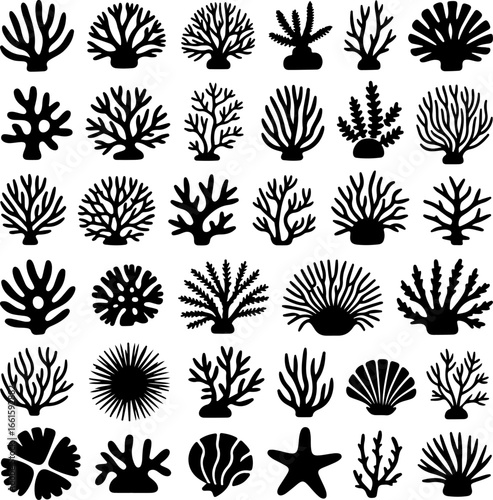 black silhouette illustrations featuring diverse types of coral, sea plants, shells, and marine life forms